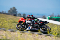 cadwell-no-limits-trackday;cadwell-park;cadwell-park-photographs;cadwell-trackday-photographs;enduro-digital-images;event-digital-images;eventdigitalimages;no-limits-trackdays;peter-wileman-photography;racing-digital-images;snetterton;snetterton-no-limits-trackday;snetterton-photographs;snetterton-trackday-photographs;trackday-digital-images;trackday-photos